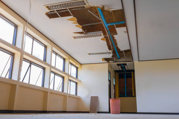 Best Sewage cleanup and water damage restoration  in Morningside, MD