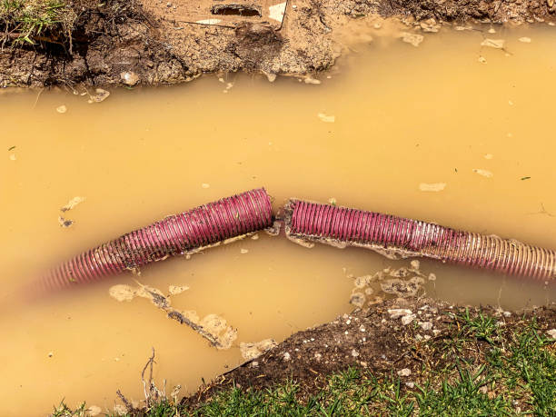 Best Emergency water damage restoration  in Morningside, MD